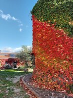 Agriturismo La Petrosa