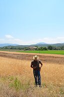 Agriturismo La Petrosa