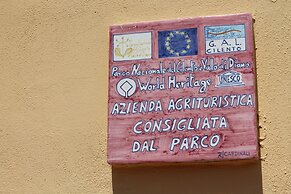 Agriturismo La Petrosa