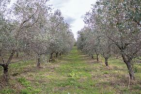 Agriturismo La Petrosa