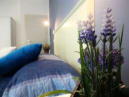 I vicini della cattedrale