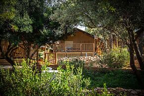 Arena One 99 Glamping