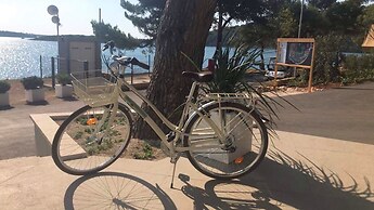 Arena One 99 Glamping