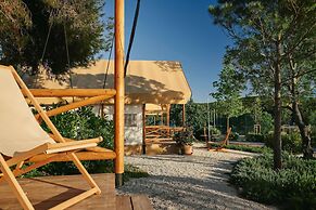 Arena One 99 Glamping