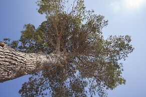 Podere40 Country Hotel