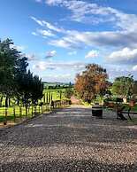 Wine Resort Colsereno