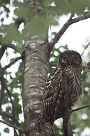 Tidal Bore Rafting Resort