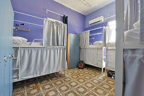 Roger's House Tel Aviv - Hostel