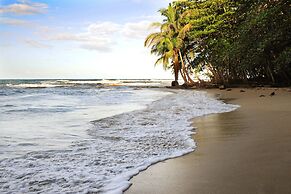 Tree House Beachfront Lodge
