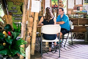 Tree House Beachfront Lodge