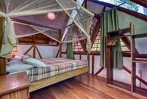 Tree House Beachfront Lodge