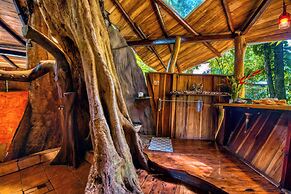 Tree House Beachfront Lodge