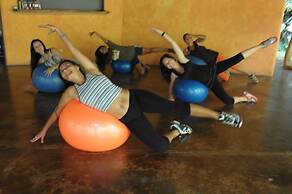 Tree House Beachfront Lodge