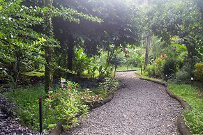 Tree House Beachfront Lodge