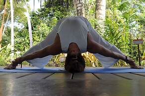 Tree House Beachfront Lodge