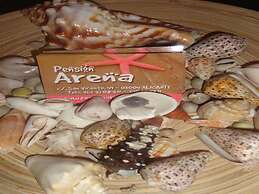 Pension Arena Alicante