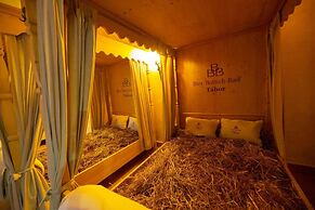 LH Hotel Dvorak Tabor