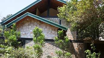 Birds Paradise Hotel