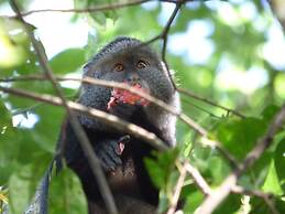 Rondo Retreat Centre