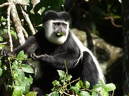 Rondo Retreat Centre