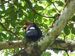 Rondo Retreat Centre