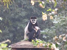 Rondo Retreat Centre