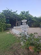 Sports Bar & Resort
