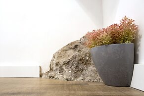 Rochinha Cozy Home