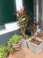 Rochinha Cozy Home
