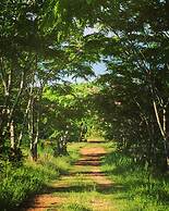 Khaoyai Nature Retreat