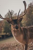 Maraias Luxury Suites & Apartments