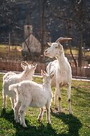 Maraias Luxury Suites & Apartments