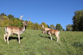 Maraias Luxury Suites & Apartments