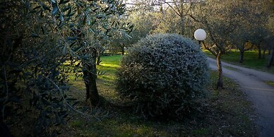 Setter House Agri Hotel