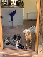 Setter House Agri Hotel