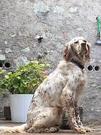Setter House Agri Hotel