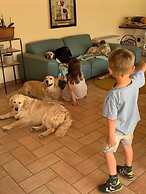 Setter House Agri Hotel