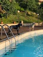 Setter House Agri Hotel