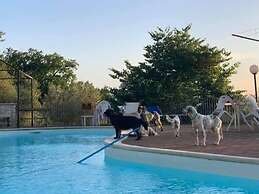 Setter House Agri Hotel