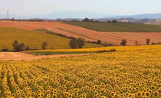 Setter House Agri Hotel