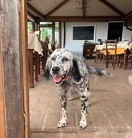 Setter House Agri Hotel