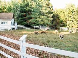 Ash Mill Farm Bed & Breakfast