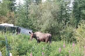 Moose Tracks B & B