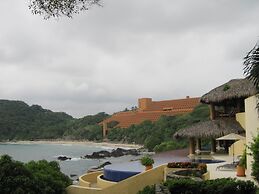 Palmetto Ixtapa 313