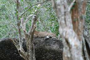 L.L.Tourist Inn & Safari jeeps