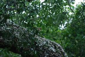 L.L.Tourist Inn & Safari jeeps