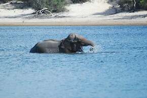 L.L.Tourist Inn & Safari jeeps