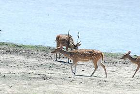 L.L.Tourist Inn & Safari jeeps