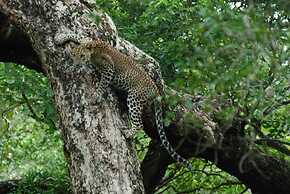 L.L.Tourist Inn & Safari jeeps