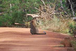 L.L.Tourist Inn & Safari jeeps